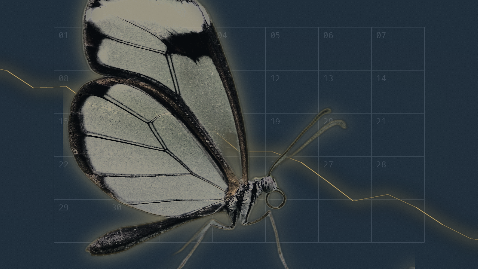 A glasswing butterfly with translucent wings revealing a 30-day calendar grid behind it, an amber fault line running diagonally